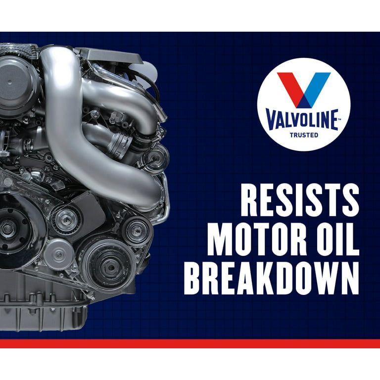 Valvoline Daily Protection 20W-50 Conventional Motor Oil 1 QT