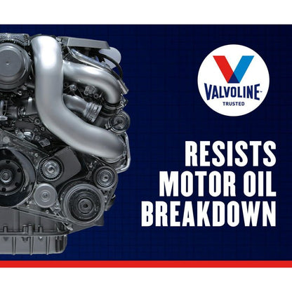Valvoline Daily Protection 20W-50 Conventional Motor Oil 1 QT